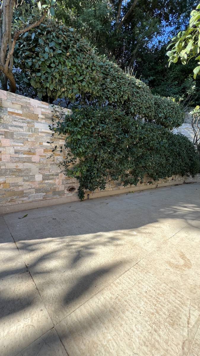 mur en pierre et jardin méditerranéen à Gassin près de Saint-Tropez et Ramatuelle