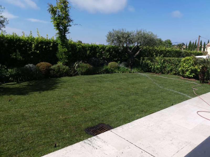 Pose d'un gazon en plaque dans un jardin  avec arrosage automatique à Saint-Tropez dans le Var